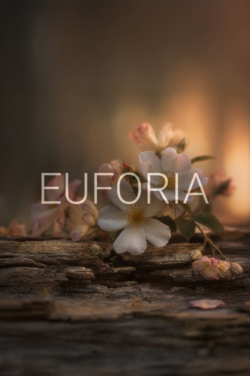 DEEP - euforia